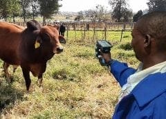 Thumbnail for Oterra eyes natural color businesses of flavour and fragrance giant Symrise