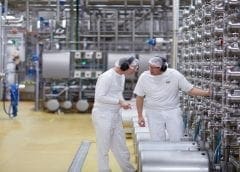 Thumbnail for Algeria rejects French, Canadian wheat cargo deemed unfit for consumption