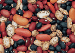 Thumbnail for Oterra eyes natural color businesses of flavour and fragrance giant Symrise