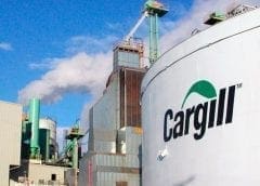 Thumbnail for Egyptian grocery delivery platforms Breadfast, Appetito raise funds to fuel expansion