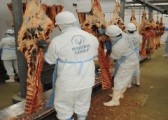 Thumbnail for Barilla launches global food startups accelerator as Uncle Nearest invests in minority-owned spirit brands