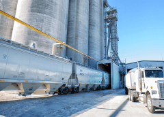 Thumbnail for CHI Limited launches fruity beverage bursting with vitamins, minerals dubbed Chivita Active Zest