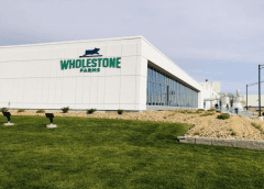 Thumbnail for FrieslandCampina WAMCO gets closer to Nigeria dairy farmers with opening of new collection center