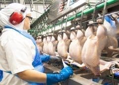 Thumbnail for Woolworths’ 118% rise in online food sales drive overall growth of segment