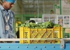 Thumbnail for Shane Smith to succeed Dennis Organ as Smithfield Foods President and Chief Executive Officer