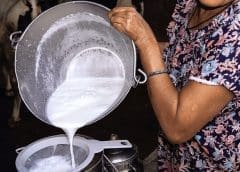 Thumbnail for South Africa resumes beef export to China amid growing bilateral ties