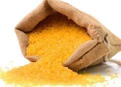 Thumbnail for Philippines to fight hidden hunger with recently approved “Golden Rice” variety