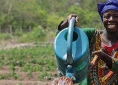 Thumbnail for Zomato eyes 10% stake in e-grocery startup Grofers to counter rising competition from rivals Swiggy and BigBasket