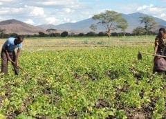 Thumbnail for Refresco to expand presence in German beverage market with acquisition of Hansa-Heeman