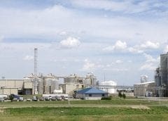 Thumbnail for Mathews Company launches new grain dryer line as Argentine farmers mull ditching soybean for corn