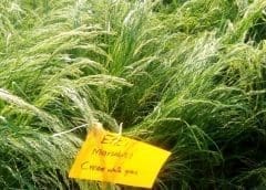 Thumbnail for FrieslandCampina half-year profits drop 42.6% battered by Thai court ruling and an underperforming infant nutrition business