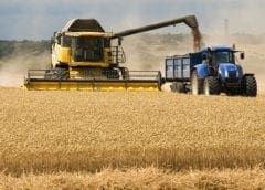 Thumbnail for Aleph Farms closes $105M funding round to bring cell-based meat to market in 2022