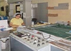 Thumbnail for Tanzanian agriculture firm FFF seeks to boost maize, macadamia production with US$1.1m investment