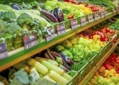 Thumbnail for Taiyo, Asiros partner to produce high-in-fiber fruit powders for the health-conscious consumer