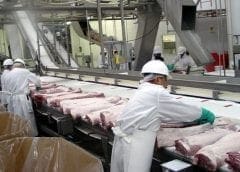 Thumbnail for Nestlé  partners Future Meat to explore emerging technologies for cultured meat