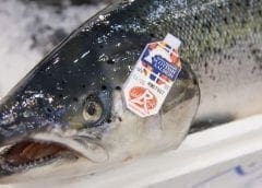 Thumbnail for Zambia seeks to partner with potential investors in establishment of mango, tomato, cashew nut processing plants