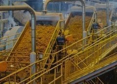 Thumbnail for Flour Mills of Nigeria showcases amazing top line performance in first quarter as it remains profitable