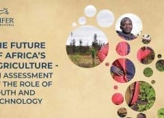 Thumbnail for Angola to inaugurate new fish processing, wheat production units to spearhead growth of food industry