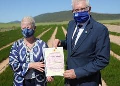 Thumbnail for Zambian potato producing giant Buya Bamba invests US$7m in new frozen chips processing factory