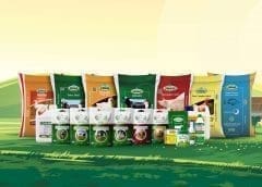 Thumbnail for African Capital Alliance acquires minority stake in Nigerian fast food restaurant owner Food Concepts