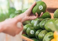 Thumbnail for Tolaram enters alternative protein category with investment in faux chicken producer Shandi