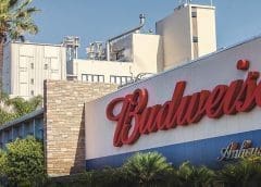 Thumbnail for South African fast-food giant Nando shuts 50 UK stores due to supply shortages