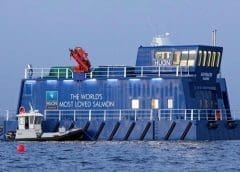 Thumbnail for Old Mutual managed fund ULIMI backs growth of Malawi’s macadamia sector with investment in Gala Agriculture