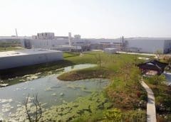 Thumbnail for Vietnam dairy brand Vinamilk to launch in Philippines following partnership with Del Monte