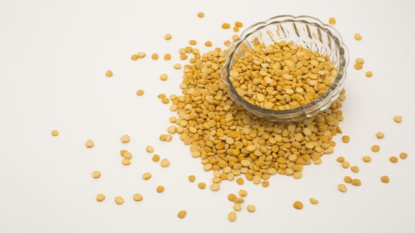 Thumbnail for Scientists use fermentation to develop plant-based cheese from pea protein