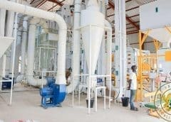 Thumbnail for South African wine company DGB expands its portfolio overseas