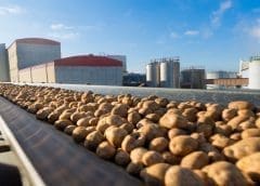 Thumbnail for Grand Parade Investments gets go ahead from Competition Tribunal to dispose Burger King