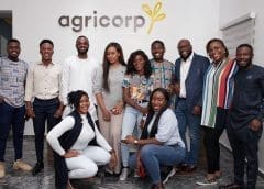 Thumbnail for Arla to expand organic range with new US$35m investment in Swedish dairy facility