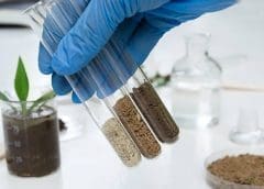 Thumbnail for AB InBev’s unit in Lesotho partners with technology giant Siemens to automate brewery