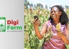 Thumbnail for South Africa’s local seasoning Oryx Desert Salt to hit shelves in USA