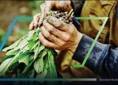 Thumbnail for Austrian food company Agrana invests US$29m in expanding starch production capacity