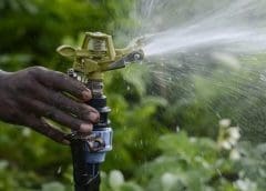 Thumbnail for Beyond Meat’s plant-based chicken tenders to launch in US grocery stores