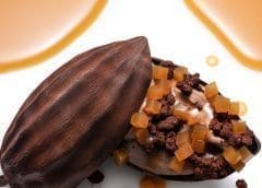 Thumbnail for Cold chain solutions provider InspiraFarms opens SADC regional hub in Zimbabwe