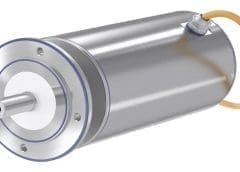 Thumbnail for French food ingredients supplier Eurovanille acquires Solvay’s vanilla business