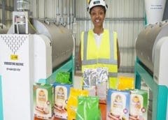 Thumbnail for Nigerian Agritech startup Releaf secures US$4.2m funding, grant to boost oil palm processing