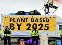 Thumbnail for Coca-Cola Europacific Partners inches closer to Net Zero 2040 ambition with the unveiling of carbon-neutral manufacturing sites