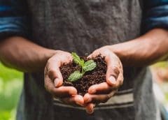 Thumbnail for Givaudan partners Bühler, Migros to launch cultured food innovation hub