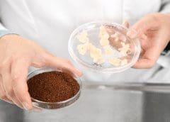 Thumbnail for Morocco’s OCP Group to establish US$6.1 billion integrated fertilizer complex in Ethiopia