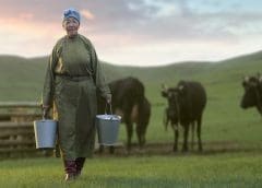 Thumbnail for Zomato continues portfolio cleanup post-IPO,  shuts down UK, Singapore businesses