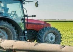 Thumbnail for Uganda’s pioneering organic farm AMFRI clinches US$1.5m investment from Pearl Capital managed fund