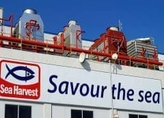 Thumbnail for Habesha Breweries appoints Omo Ohiwerei as new CEO