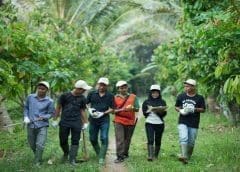 Thumbnail for Ferrero promotes Todd Siwak to president and chief business officer of North American business