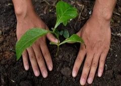 Thumbnail for Kenya Breweries Limited kick starts second phase of US$3m Raising the Bar initiative