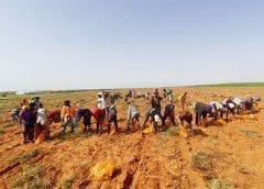 Thumbnail for Consumer awareness of the need to protect oceans drives demand for sustainable seafood