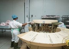 Thumbnail for Kilombero Sugar inks cane supply agreement with sugar cane growers in Tanzania following expansion plans