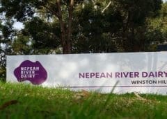 Thumbnail for Chinese donkey processing company recommences operations in Ethiopia after 7 years of closure